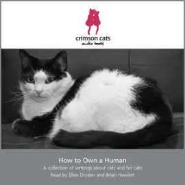 How to Own a Human: A Collection of Writings about Cats and for Cats (Unabridged)