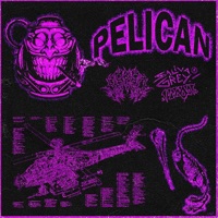 PELICAN - Single - 99zed & Saliva Grey