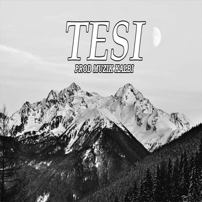 Muzik_kalbi - Teşi Kurdish Remix