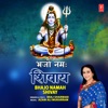 Bhajo Namah Shivay - Single