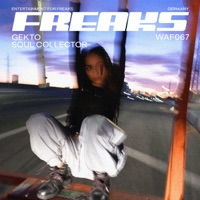 Soul Collector - Single - Gekto