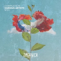 Organica Records Compilation 01 - EP - Seba Campos, Dan Bay & Turu Anasi