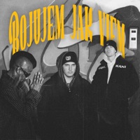 Bojujem jak viem (feat. MAKAK, Afu-Ra & Ajvy) - Single - Douzy