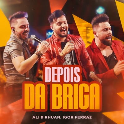 Depois da Briga - Single
