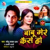 Babu Mere Kaese Ho - Single