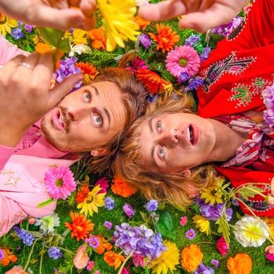 Lime Cordiale