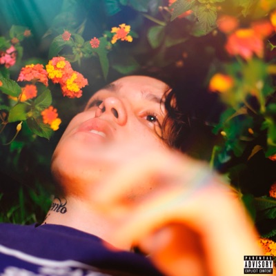 Pisando na Nuvem - Single