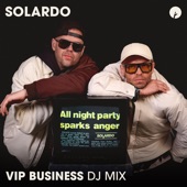 Solardo: VIP Business (DJ Mix) artwork