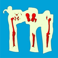 Leg 3 - Single - Tacbo