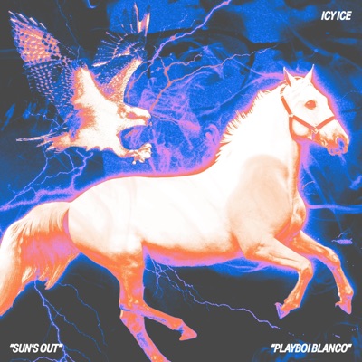 Sun's Out/Playboi Blanco - Single