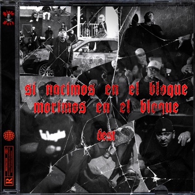 SI NACIMOS EN EL BLOQUE MORIMOS EN EL BLOCKE