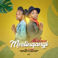 Mvelinqangi (Radio Edit) [feat. Tynie] - Single - Nhlekziin