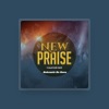 New Praise