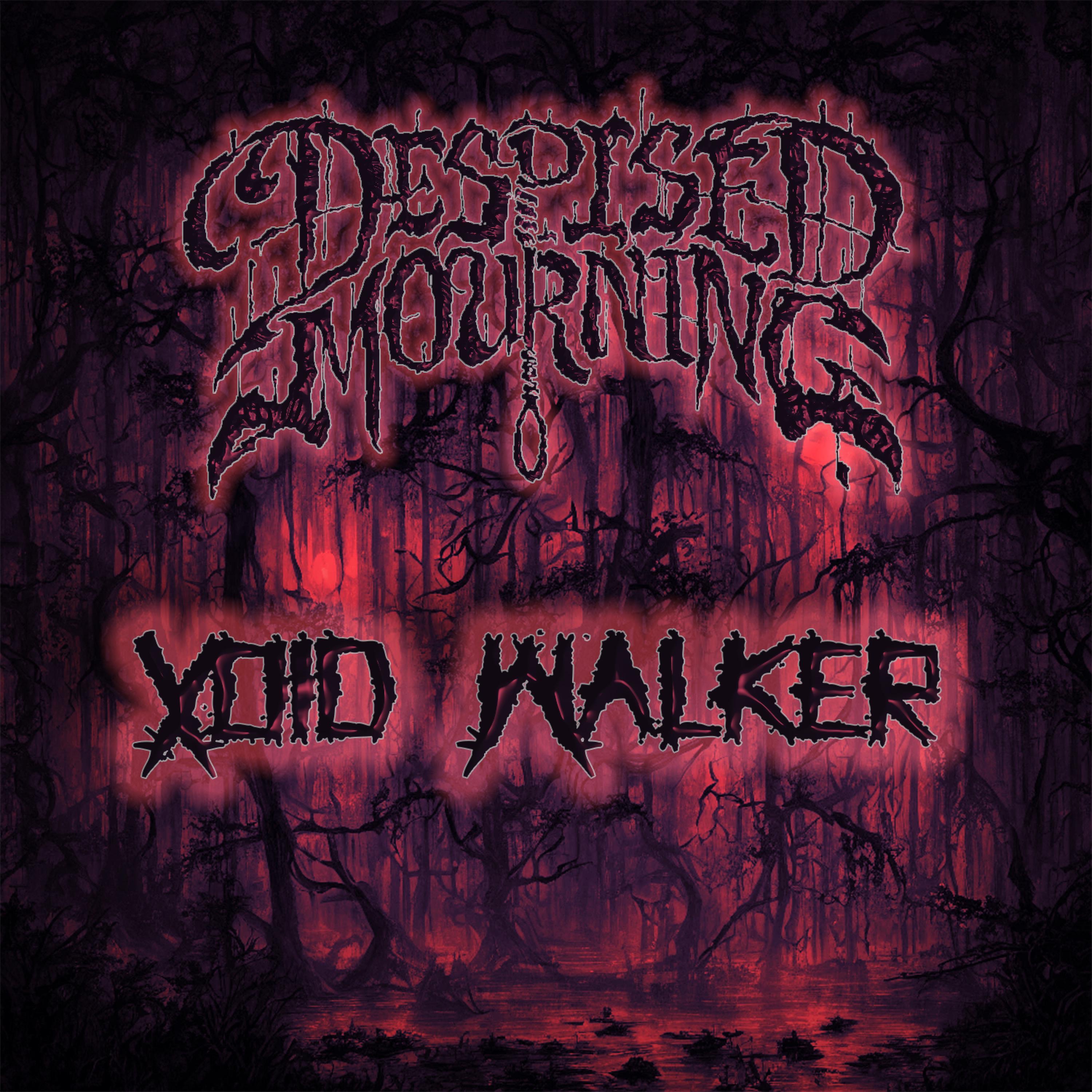 Void Walker - Single