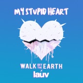 My Stupid Heart (with Lauv) artwork