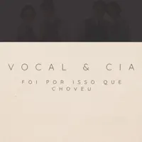 Foi por Isso Que Choveu — Vocal & cia
