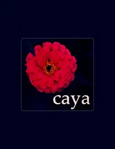 Listen to Caya, watch music videos, read bio, see tour dates & more!