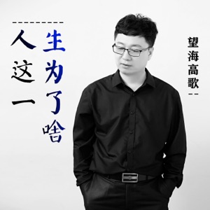人这一生为了啥 - Single