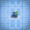 BlueBerry - Single