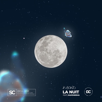 La nuit (feat. David Neema) - Single