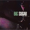 Big Sugar: Dear Mr. Fantasy