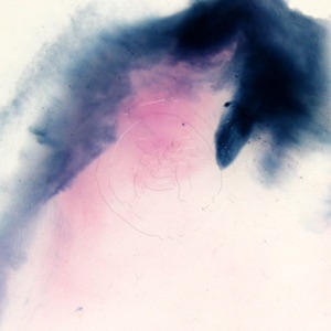 Laogan - EP