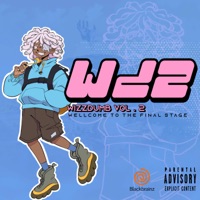 WIZZDUMB, Vol. 2 - Blackbrainz