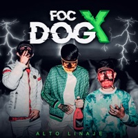 FOCDOG - Alto Linaje