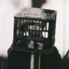 Hidden Cameras