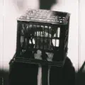 Hidden Cameras