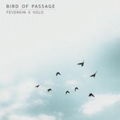 Bird of Passage artwork