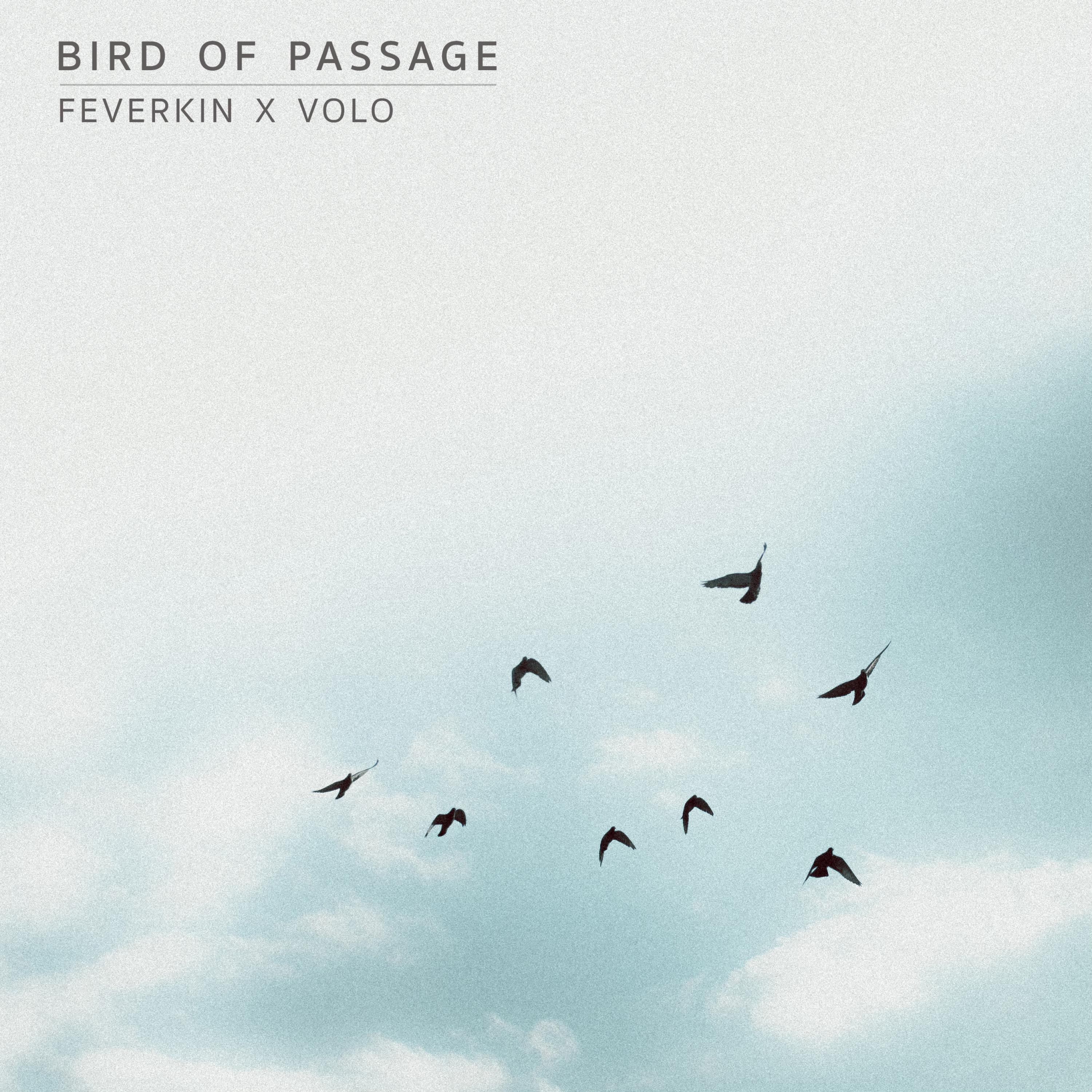 Bird of Passage - Single