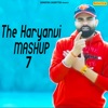 The Haryanvi Mashup 7 - Single