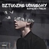 Sztuczne Uśmiechy (feat. Acapulcio & Peb Lee) - Single