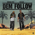 Dem Follow - Single