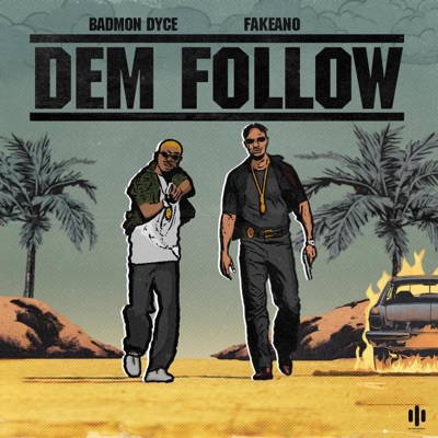 Dem Follow - Single