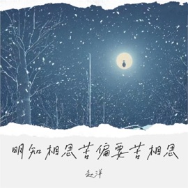 明知相思苦偏要苦相思 (伴奏) 赵洋