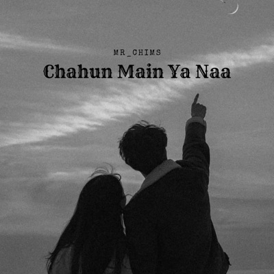 Chahun Main Ya Naa (Slowed and Reverb) - mr_chims