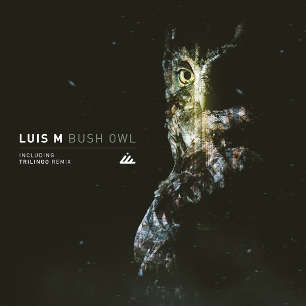 Bush Owl - Single