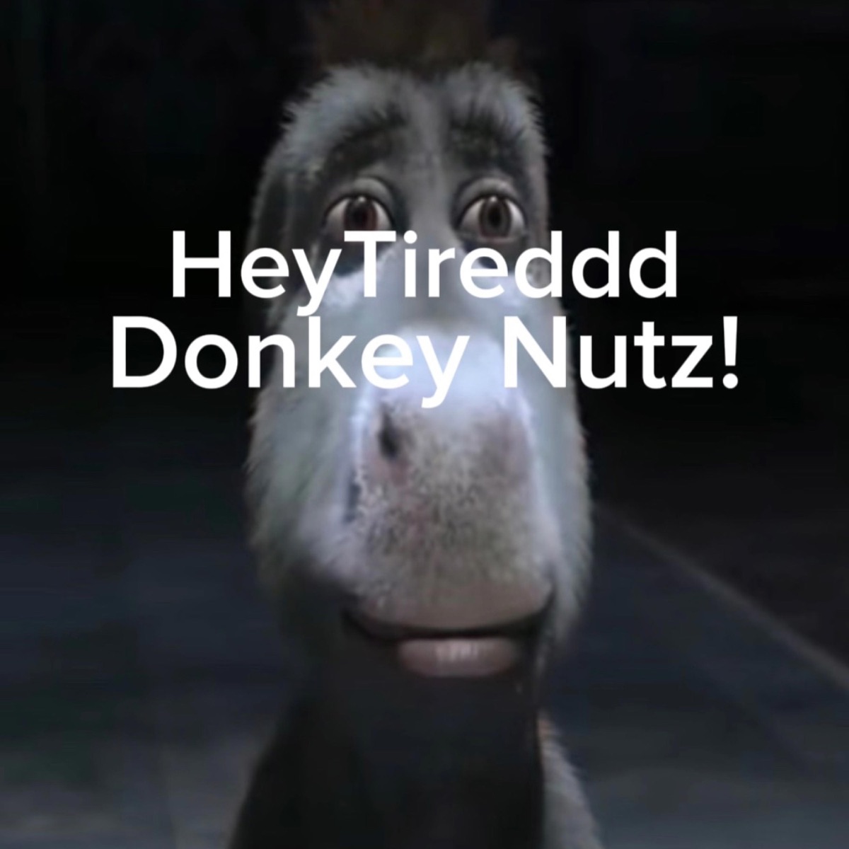 Donkey Nutz! - Single - Album by HeyTiredddd - Apple Music