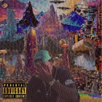 Floss Boss Style - Bassi Boss