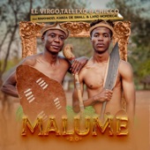 Malume (feat. Makhadzi, Kabza De Small & Lxrd Mordecai) artwork