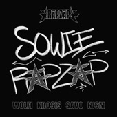Sowie RäpZäp (feat. WOLFI, Krosis, Savo & NJSM) artwork