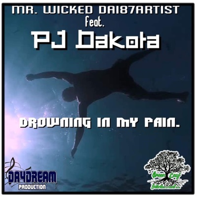 Drowning in my pain (feat. PJ Dakota) [Radio Edit] [Radio Edit] - Single