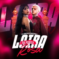 Loira da Xereca Rosa - Single - Mc Ellen, Dj Vinicin do Concórdia & MC Rangel