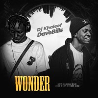 Wonder (feat. Dave Bills) - Single - Dj Khaleef