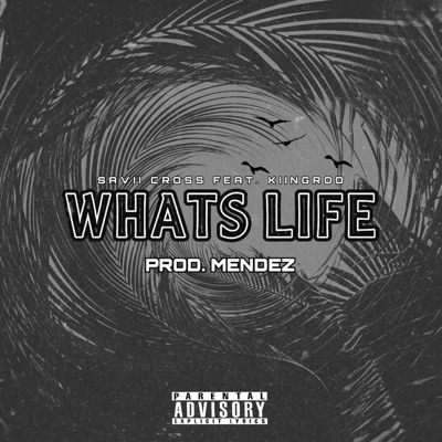 Whats Life (feat. Kiingrod) - Single