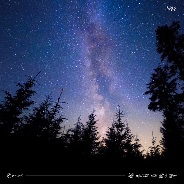 Reach for the Stars - Single