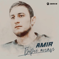 Берег мечты - Single - AMIR