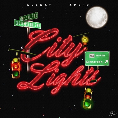 City Lights (feat. ApeO) - Single